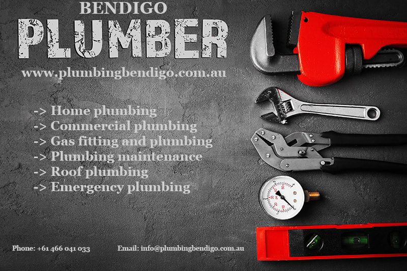 Bendigo plumbing services infographic